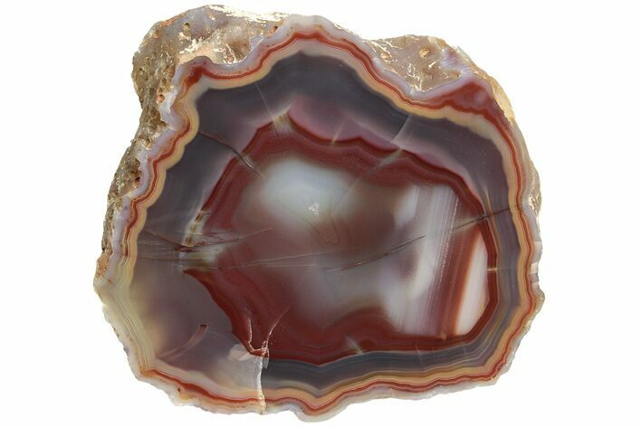 Colorful, Polished Condor Agate - Argentina #209615